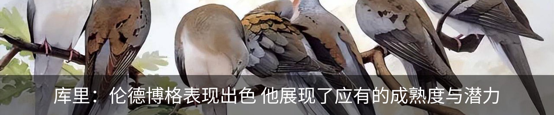 行业资讯